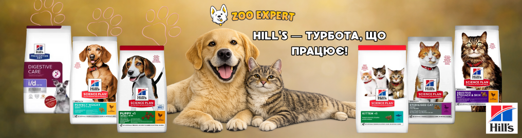 Hill`s